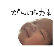 795200855