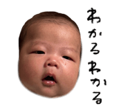 795200869