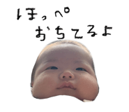 795200877