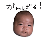 795200887