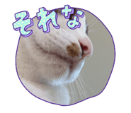 795211278