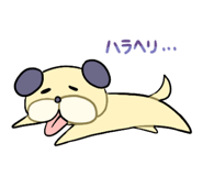 795218704