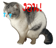 795230113