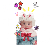79523767