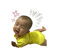 79523773