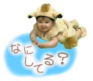 795245522