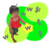 795245529