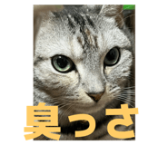 795249128