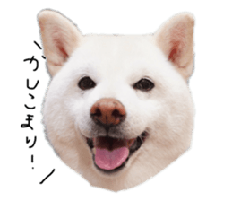 795253969