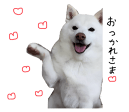 795253970