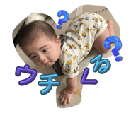 795254949