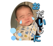 795254950