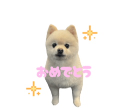 795260838