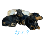 795271159
