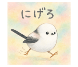 795273814