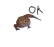 795274851