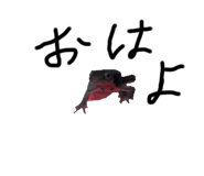795274854