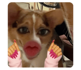 795278230