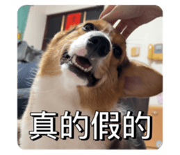 795278233