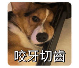 795278234