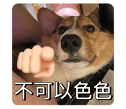 795278246