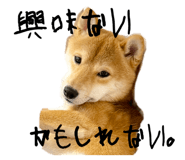 795291628