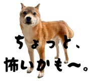 795291629