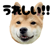 795291630