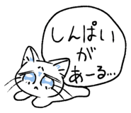 795300107