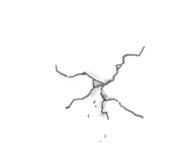 795303271