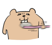 795303297