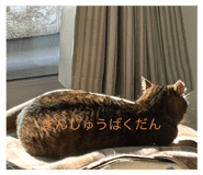795306260