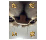 795306267