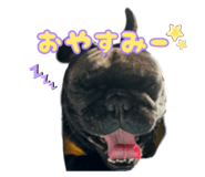 795326602