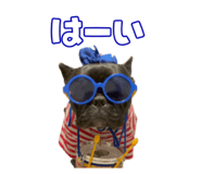 795326605