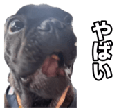 795326616