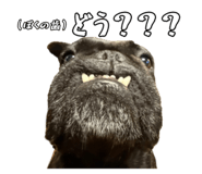 795326619