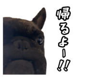 795326624