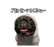 795326625