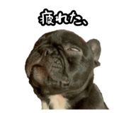 795326626
