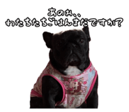 795326631