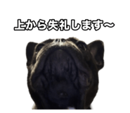 795326633