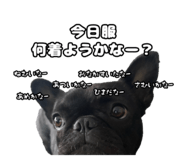 795326635