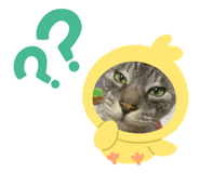 795326830