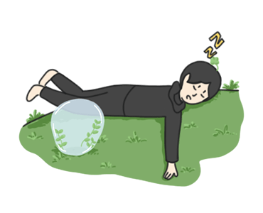 ลายที่ 21