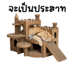 ลายที่ 13