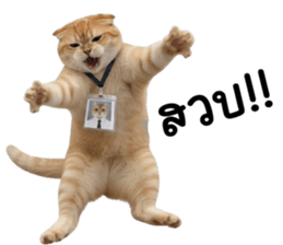 ลายที่ 25