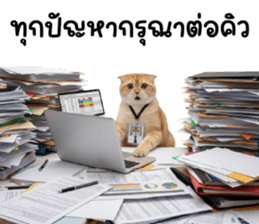 ลายที่ 27