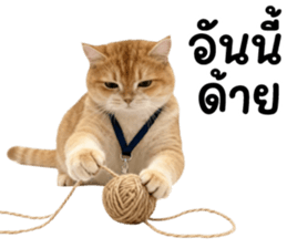 ลายที่ 33