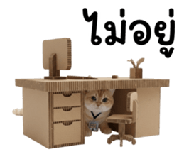 ลายที่ 39